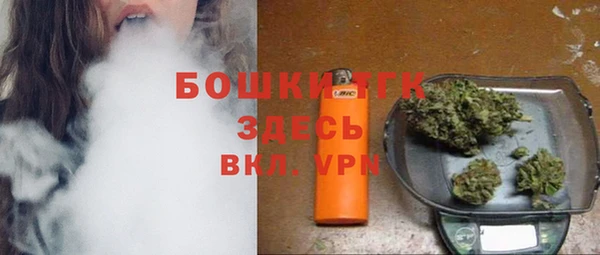 ГАЛЛЮЦИНОГЕННЫЕ ГРИБЫ Ладушкин