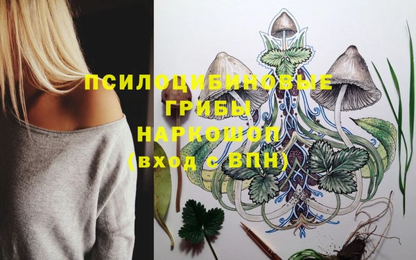 амф Наволоки