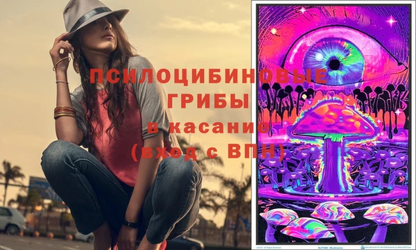 винт Надым