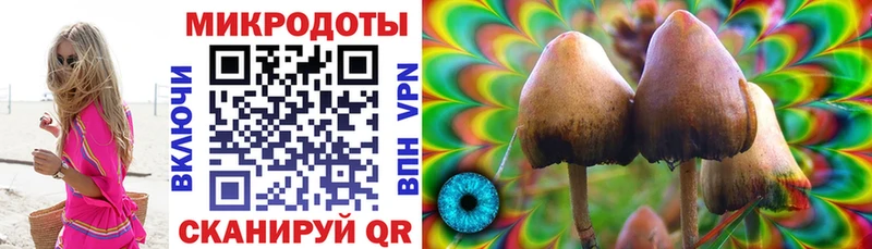 как найти наркотики  блэк спрут зеркало  Псилоцибиновые грибы GOLDEN TEACHER  Новый Оскол 